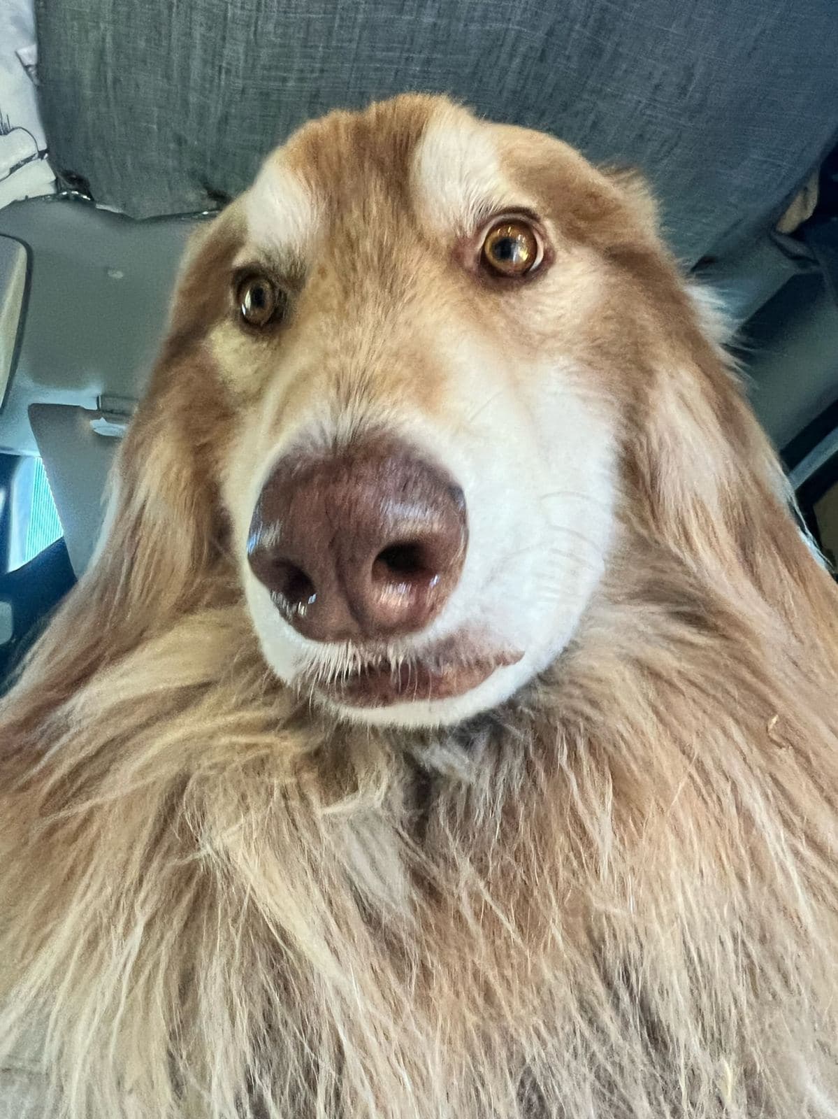 Captain, very close to the camera