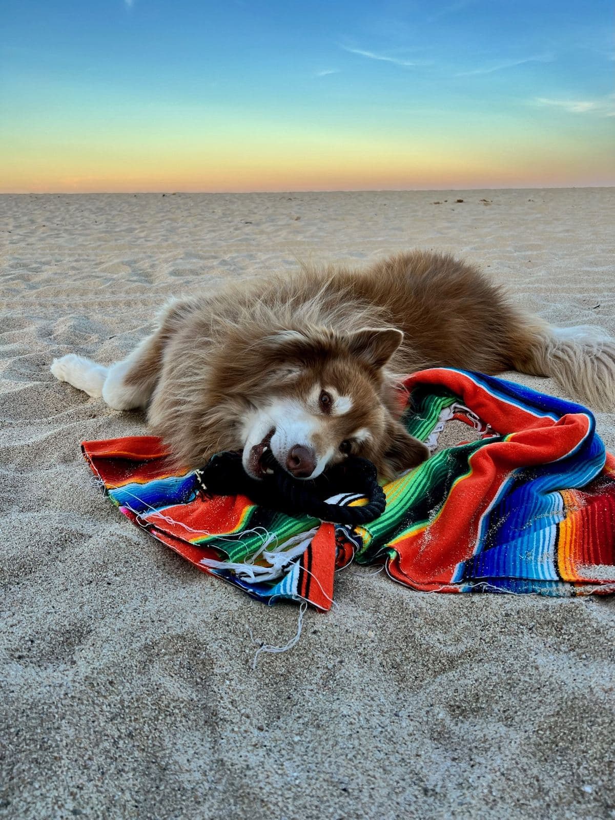 Captain asleep on a serape on the beach