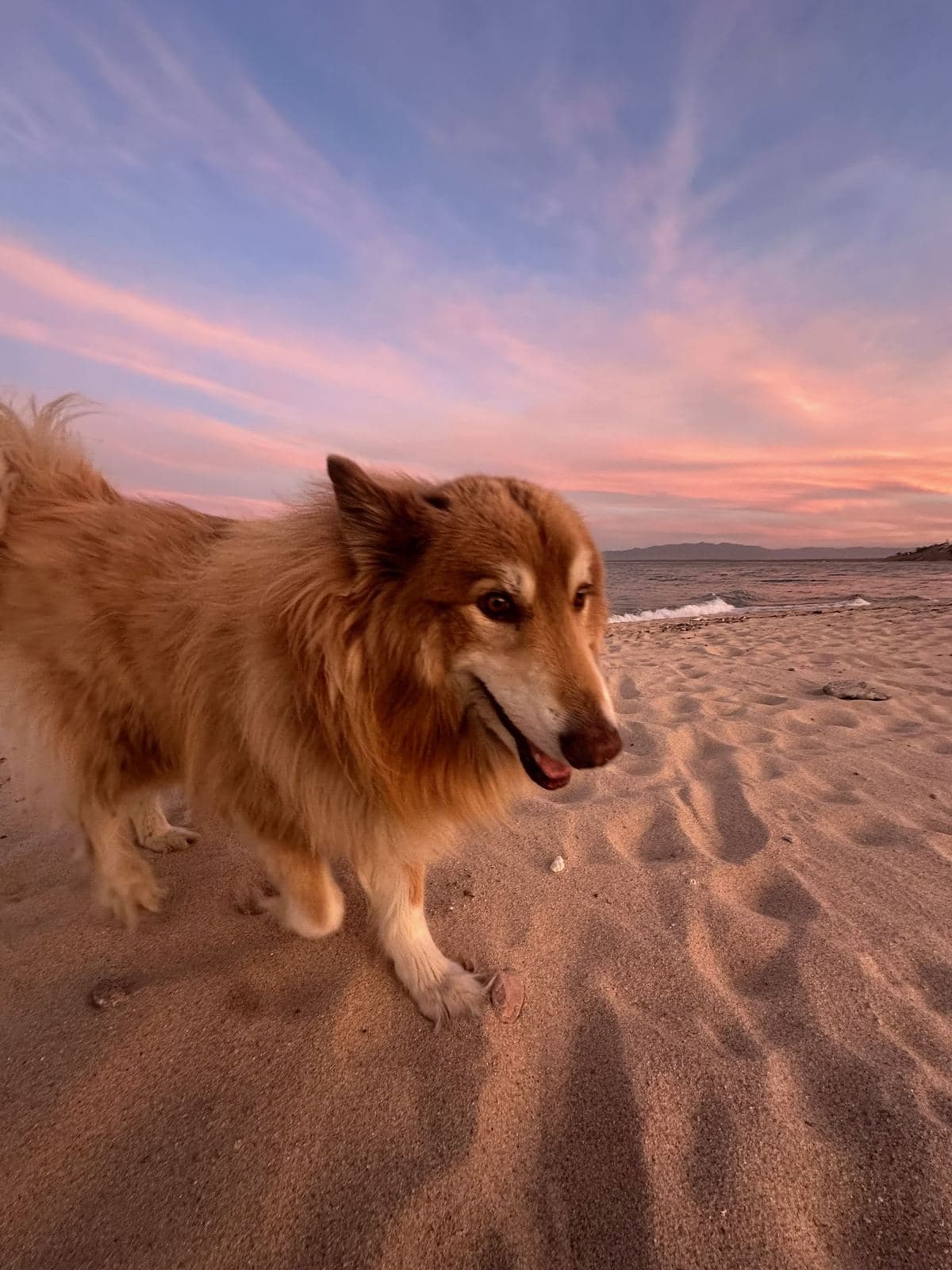 Captain on the sand under a pink sunset